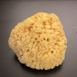 Dead Sea Sponge - Natural